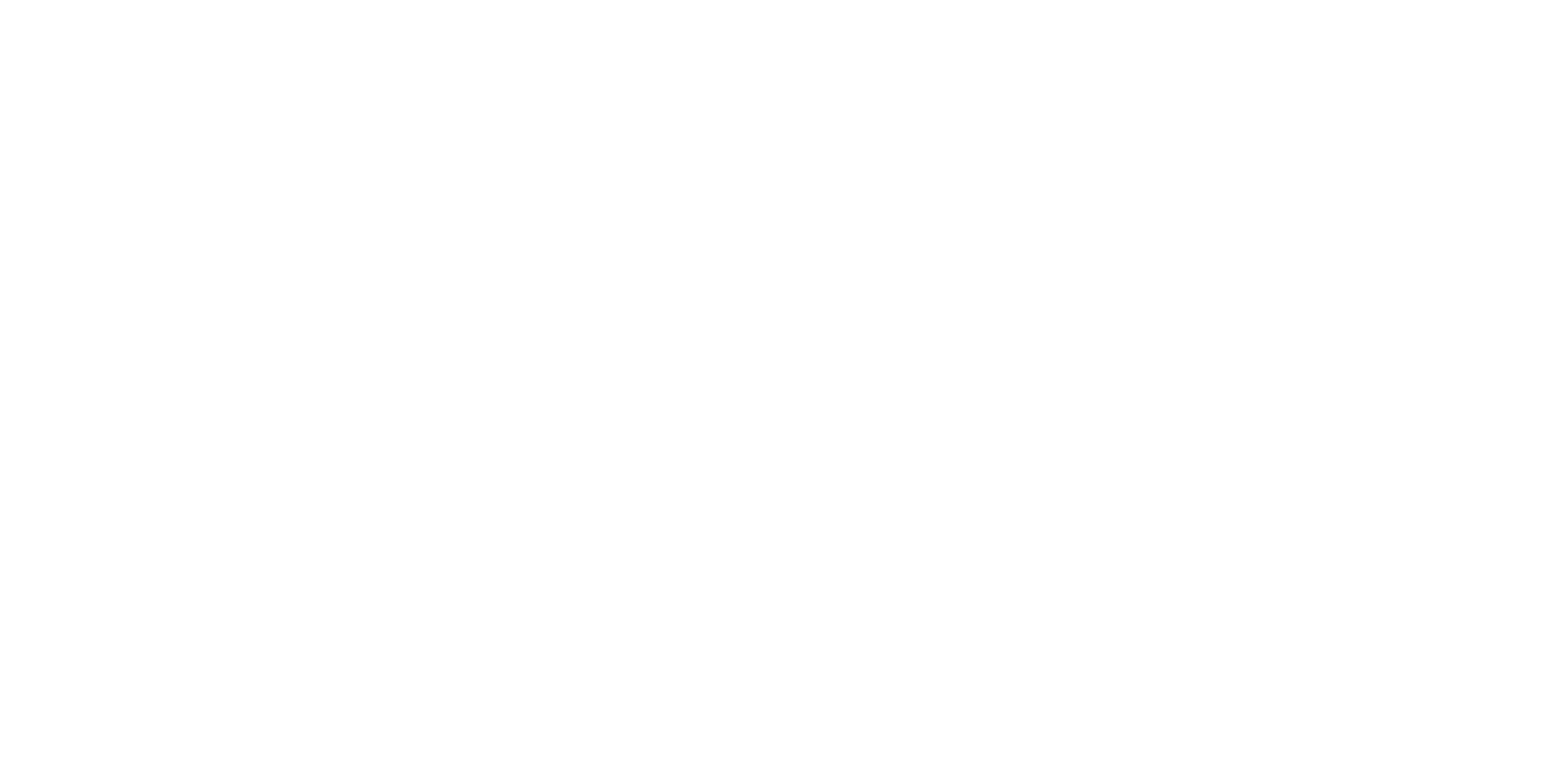 white-ad-customs